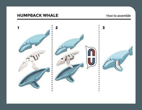 Image of HALF OCEAN PICTURE BOOK SET (HUMPBACK WHALE)