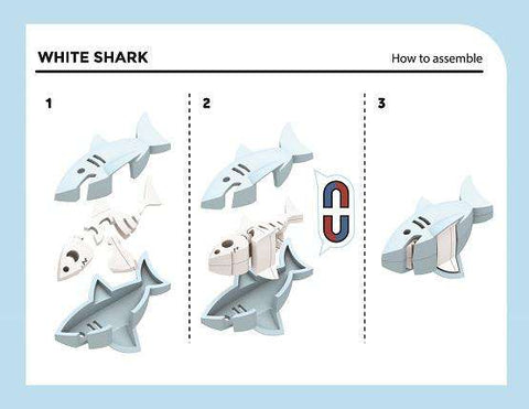 HALF OCEAN PICTURE BOOK SET (WHITE SHARK)